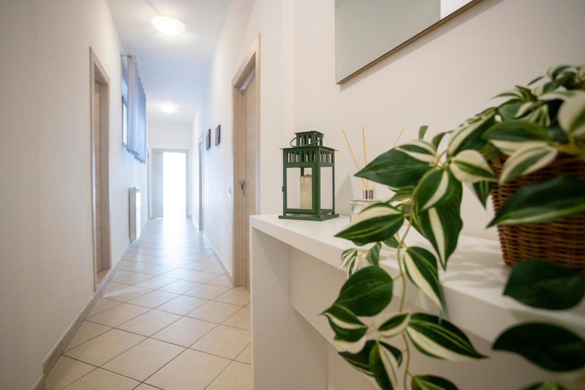 Casa Mia Sorrento Apartment Ngoại thất bức ảnh